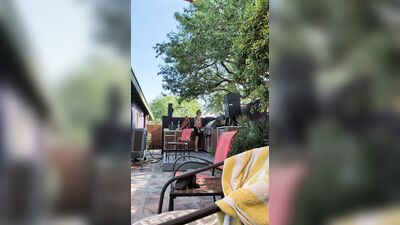 Daddy Poolside edge and nut