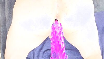 Sloppy and loud first ride on a new spiked dildo!