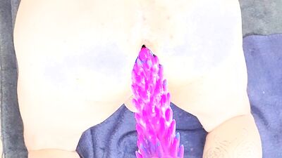 Sloppy and loud first ride on a new spiked dildo!