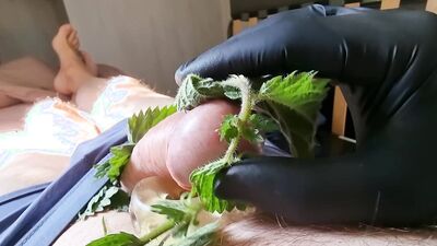 Cock Dick and balls massaged, kneaded and burned with stinging nettle leaves