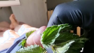 Cock Dick and balls massaged, kneaded and burned with stinging nettle leaves