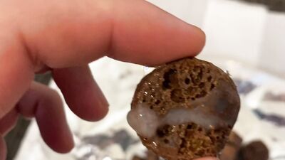 I poured semen on some sweets and it was delicious.
