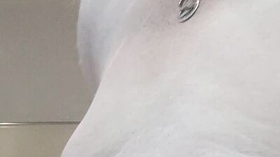 horny nipple play compilazion
