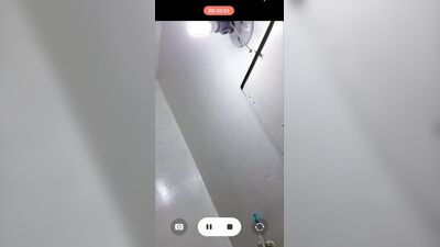 I Ride My Black Dildo Live