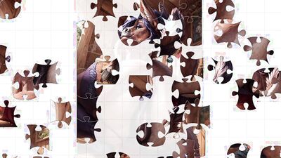 Furry Jigsaw 27 (Part 1)