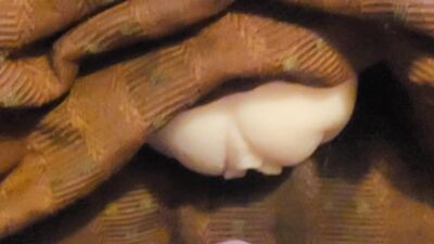 Paja con vulva de juguete