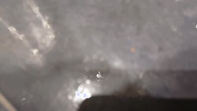 The Dirty Guy Shows You His Flaccid Cock Full of Semen and Cleans the Cumshot from the Previous Vide