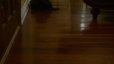 Hoss Kado Sneakily Jerked Off Under Dinner Table, Then Takes Roommates Dick