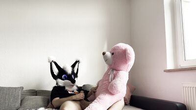 Furry Fursuit Coudle and Fuck Giant Plush Bear Plushophilia Plushie