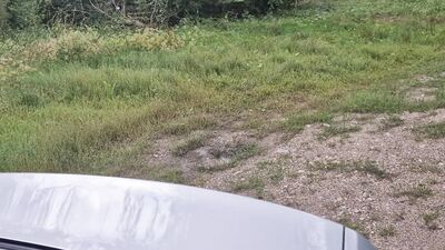 Fucked in public, the narrow hole is gouged by daddy's big dick right in the car on the highway to cum!
