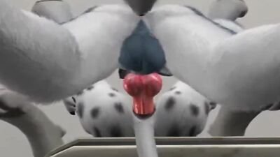 H0rs3 - compilation anal and oral #1