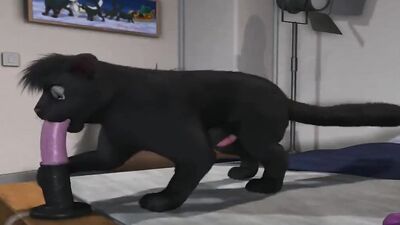 H0rs3 - compilation anal and oral #1