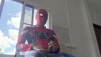 Spiderman work from home.