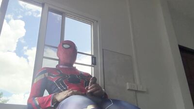 Spiderman work from home.