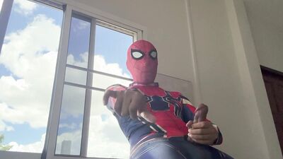 Spiderman work from home.