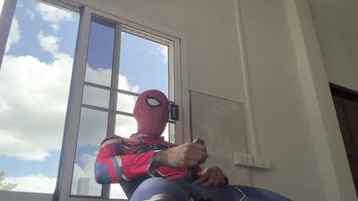 Spiderman work from home.
