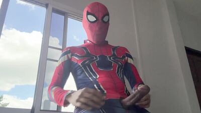Spiderman work from home.
