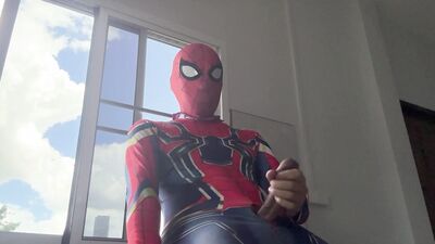 Spiderman work from home.