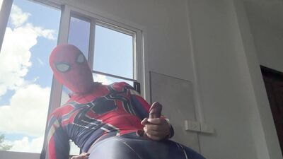 Spiderman work from home.