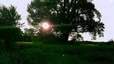 Long clothless round trip in the fields