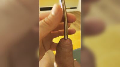Penis cache with liquid feeding