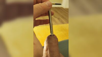 Penis cache with liquid feeding