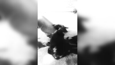 Solo masturbation Onxy-Tower Production's Bath Time
