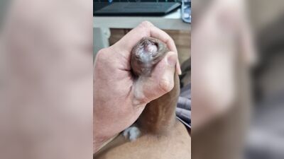 BIG DICK GONE WILD