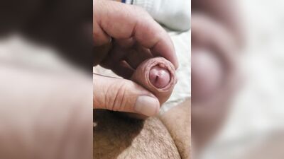 CUM FLY WITH ME