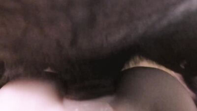 Huge Orgasm on the Milking Pussy! Huge Cum ! I'm out of sperm !