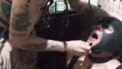 Puppy fan receives BDSM treatment