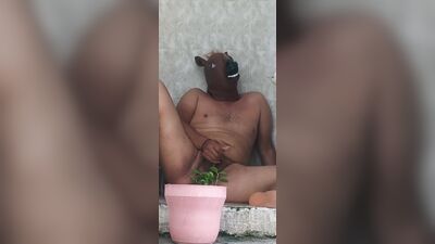 TIGHT HORSE