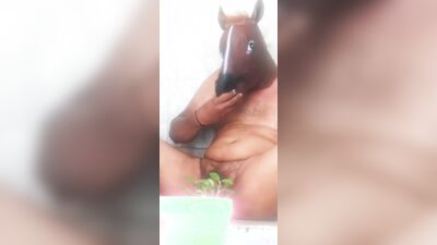 TIGHT HORSE