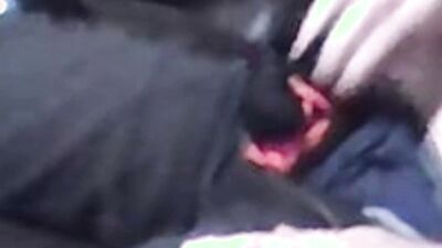 Cock in a sock