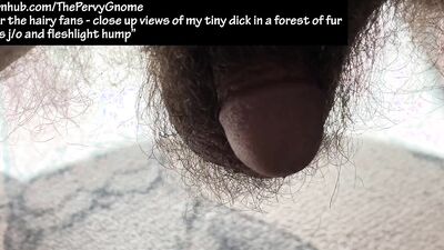 Pubic Hair Extraordinaire