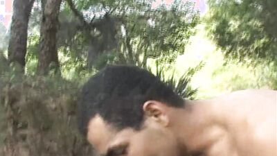 Gay Dreams Vol.1 - Episode 4