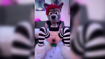 Horny Puppy destroys his hole with XL toys and cums hands free