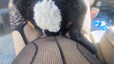 Forest road Stuffy Humping in car