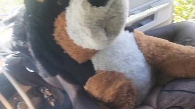 Forest road Stuffy Humping in car