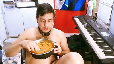 M a x x eats from a dog bowl in a dog collar