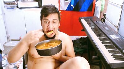 M a x x eats from a dog bowl in a dog collar