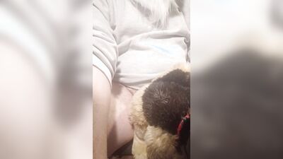 Furry Grinds Doggie Plush And Cums (Full Vid)
