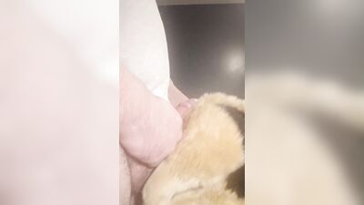 Furry Grinds Doggie Plush And Cums (Full Vid)