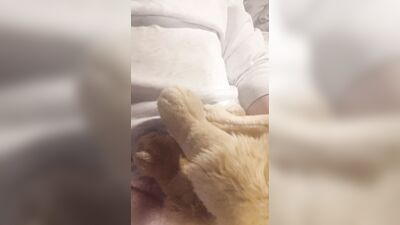 Furry Grinds Doggie Plush And Cums (Full Vid)