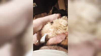 Furry Grinds Doggie Plush And Cums (Full Vid)