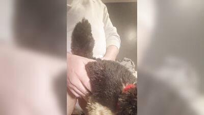 Furry Grinds Doggie Plush And Cums (Full Vid)