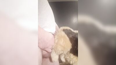 Furry Grinds Doggie Plush And Cums (Full Vid)