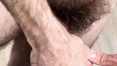 Pubicus Maximus - small dick in big hair - 6 month no trim update