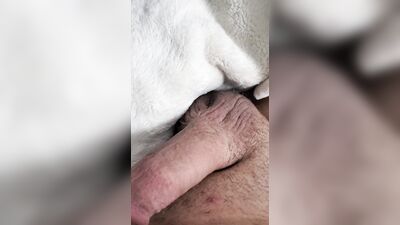 I treat my prostate and taste my own sperm