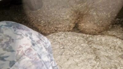 Pessoal,fodi a puta no chão na posição de missionario, de quatro,a cavalgar meu pau e contra o carro